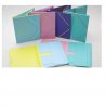 CARPETA FOLIO SOLAPAS PVC IBERPLAS COLORES SURTIDO