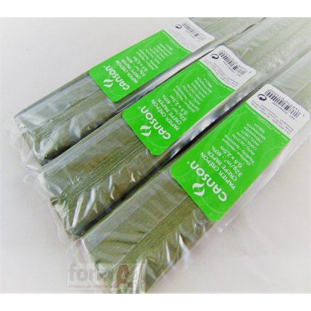 PAPEL CRESPON CANSON VERDE 