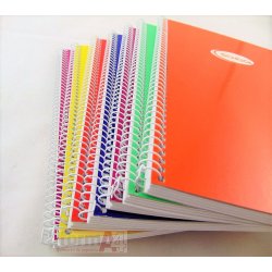 CUADERNO ESPIRAL PACSA 4º...