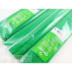 PAPEL CRESPON CANSON VERDE HELECHO