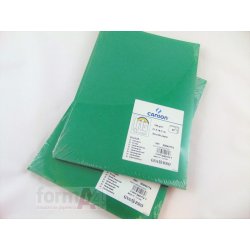 CARTULINA IRIS A4 VERDE...