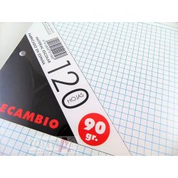 RECAMBIO PACSA 90GR. FOLIO 4T. 120H. 5X5 CUADROS