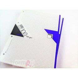 RECAMBIO PACSA 90GR. FOLIO...