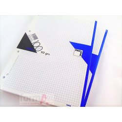 RECAMBIO PACSA 90GR. FOLIO...