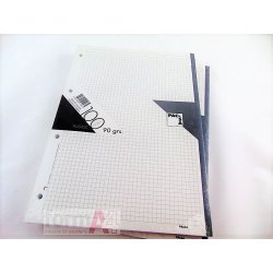 RECAMBIO PACSA 90GR. FOLIO...