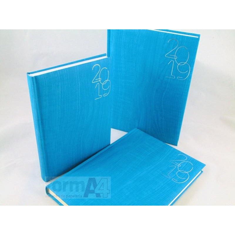 AGENDA 17X24CM. D/P 2019 GIAVA TURQUESA