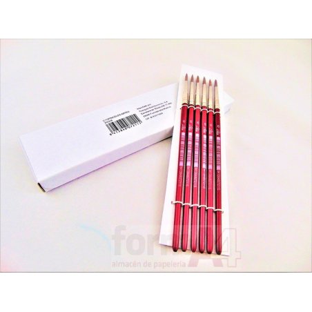 PINCEL ACUARELA ARTES Nº 6