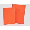 AGENDA 15X21CM. D/P 2021 GIAVA NARANJA