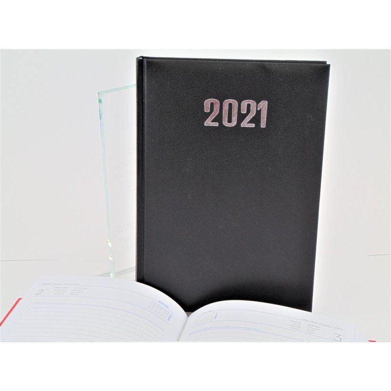 AGENDA 15X21CM. D/P 2021 DOMINO NEGRO