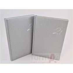 AGENDA 15X21CM. D/P 2021 CARIBE PLATA