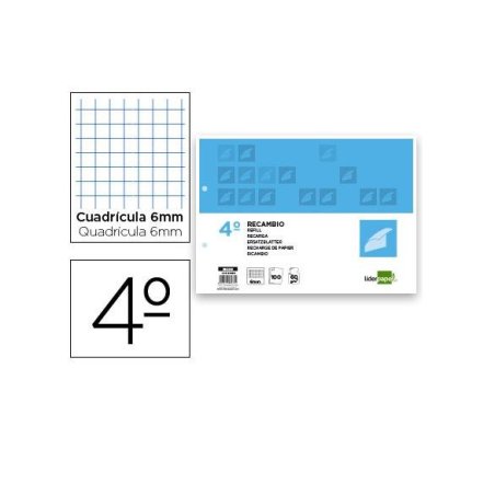 RECAMBIO LIDERPAPEL 4º AP. 2T. 100H. CUAD. 4MM