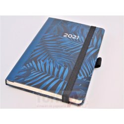 AGENDA COSIDA RIGIDA...