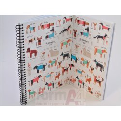 AGENDA ESPIRAL CARTON PLUS...