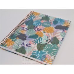 AGENDA ESPIRAL CARTON PLUS...