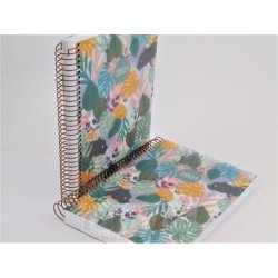 AGENDA ESPIRAL CARTON PLUS...