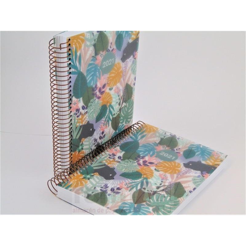 AGENDA ESPIRAL CARTON PLUS 155X213 D/P COLOUR GARD