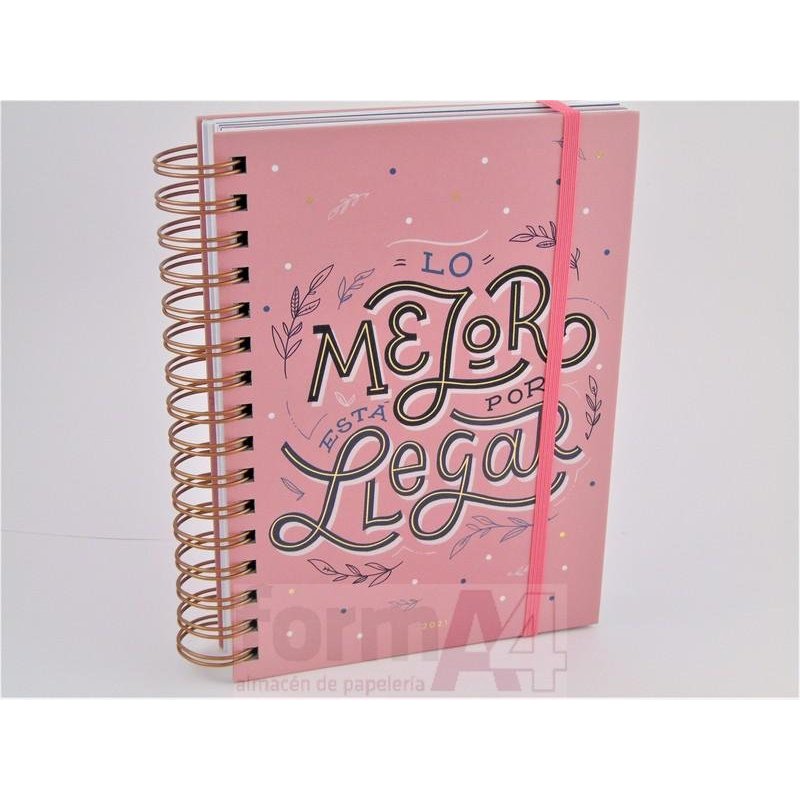 AGENDA ESPIRAL WIRE-O CARTON PLUS 155X213 D/P HAPP