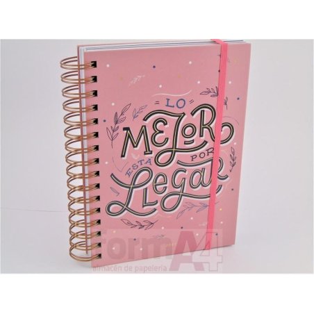 AGENDA ESPIRAL WIRE-O CARTON PLUS 155X213 D/P HAPP