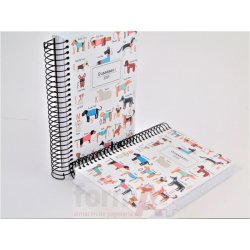 AGENDA ESPIRAL CARTON...