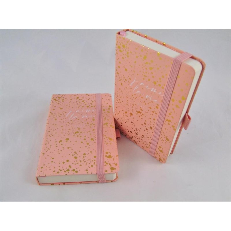 AGENDA PASSPORT 90X140 D/P J'AIME LA VIE  MR 22