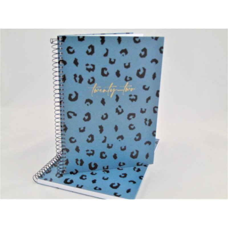 AGENDA ESP.PLUS 155X213 S/V BLUE PRINT MR 22