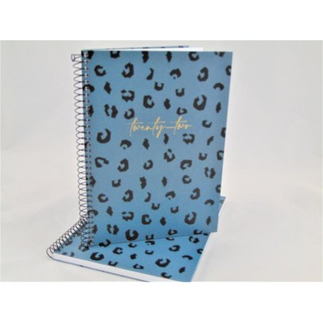 AGENDA ESP.PLUS 155X213 S/V BLUE PRINT MR 22