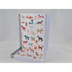 AGENDA ESP.PLUS 155X213 D/P...