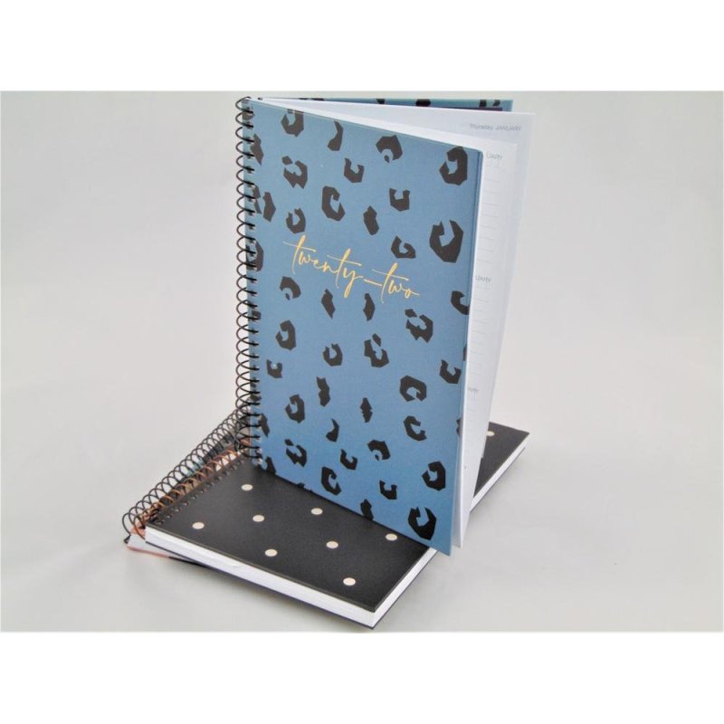 AGENDA ESP.ACTIVA 117X182 S/V BLUE PRINT MR 22