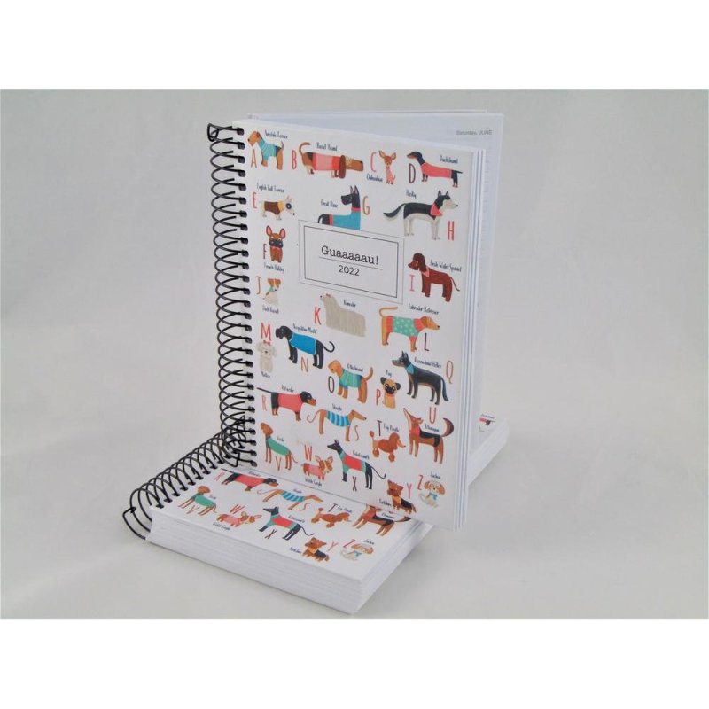 AGENDA ESP.ACTIVA 117X182 D/P GUAAAU MR 22