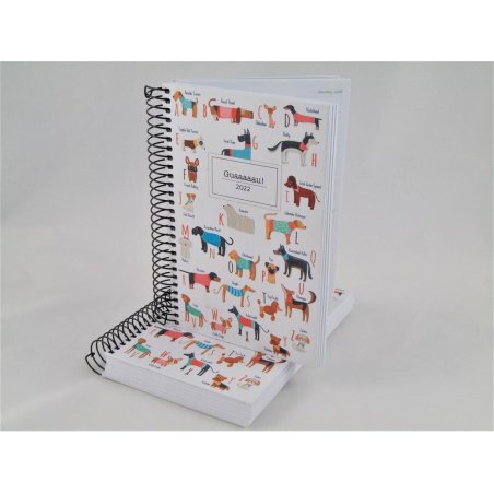 AGENDA ESP.ACTIVA 117X182 D/P GUAAAU MR 22