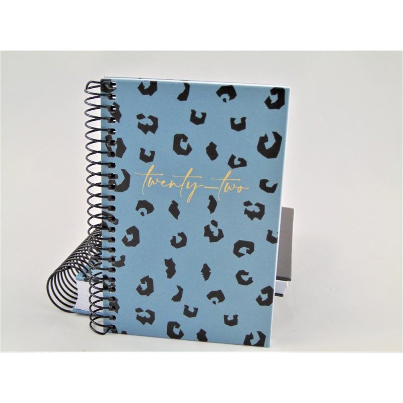 AGENDA ESP.CADDY 80X125 S/V BLUE PRINT MR 22