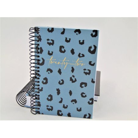 AGENDA ESP.CADDY 80X125 S/V BLUE PRINT MR 22