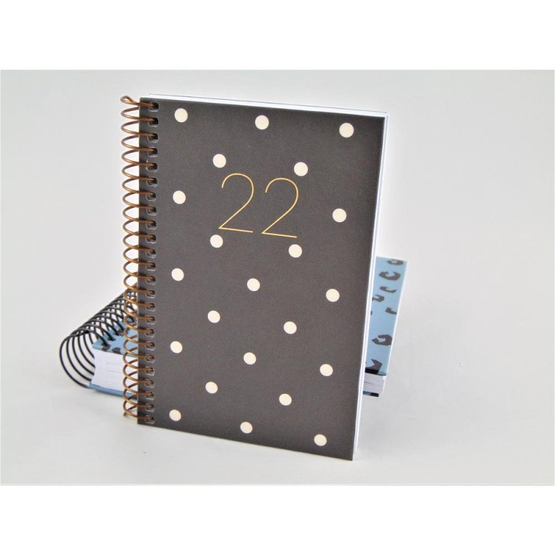 AGENDA ESP.CADDY 80X125 S/V POLKA DOTS  MR 22