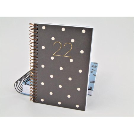 AGENDA ESP.CADDY 80X125 S/V POLKA DOTS  MR 22