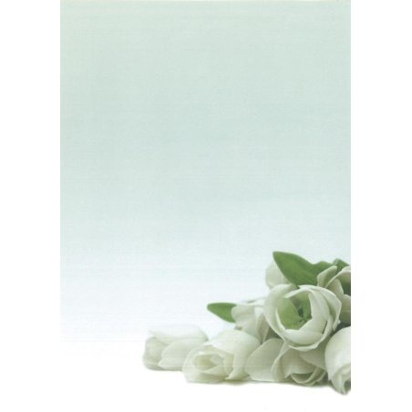 PAPEL TEMATICO APLI FLOR 90GR. P/20H