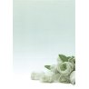 PAPEL TEMATICO APLI FLOR 90GR. P/20H