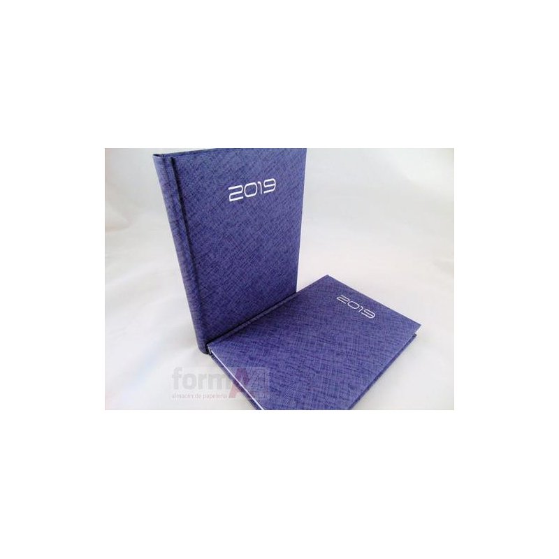 AGENDA 15X21CM. D/P 2019 TEXTUR AZUL