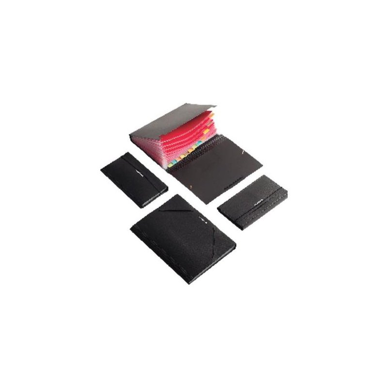 CARPETA CLASIFICADORA FUELLE FOLDERMATE RECIBO