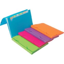 CARPETA CLASIFICADORA...