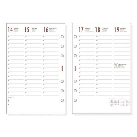 RECAMBIO AGENDA FINOCAM OPEN 500 S/V APAISADA