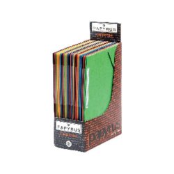 CARPETA CARTON FOLIO...