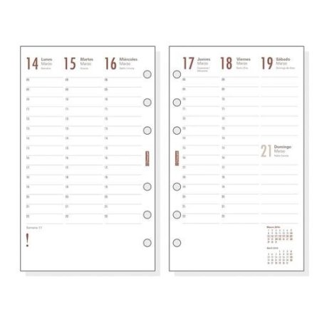 RECAMBIO AGENDA FINOCAM R1099 S/V