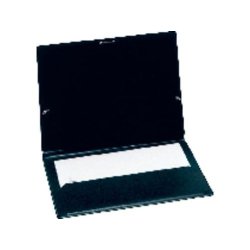 CARPETA PLASTICO BOLSA...